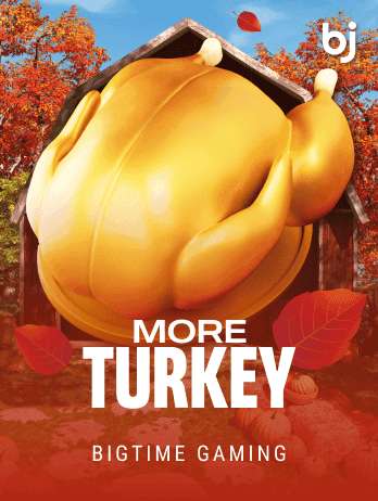 More Turkey game icon